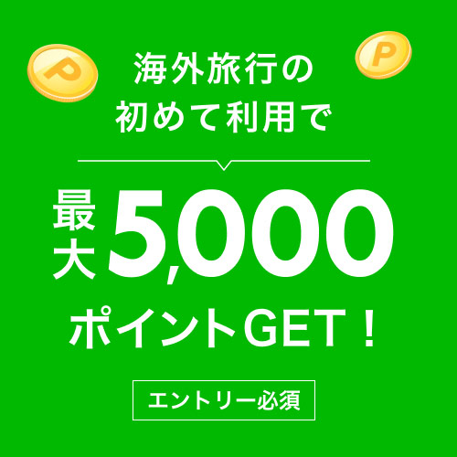 【ポイント12％】★21日前までのご予約対象★高速WiFi＆駐車場無料＆朝食付！